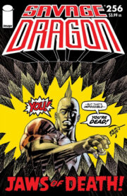 Cover Savage Dragon Vol.2 #256