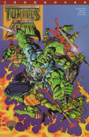 Cover Teenage Mutant Ninja Turtles / Savage Dragon #1