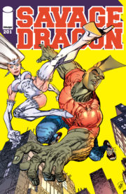 Cover Savage Dragon Vol.2 #201