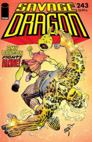 Cover Savage Dragon Vol.2 #243