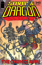 Cover Savage Dragon Vol.2 #245