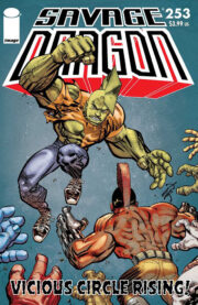 Cover Savage Dragon Vol.2 #253