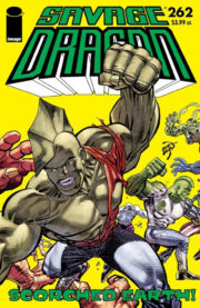 Cover Savage Dragon Vol.2 #262